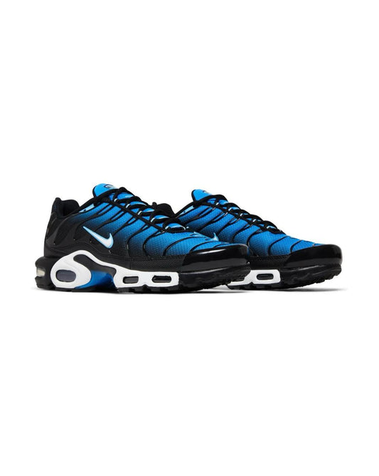 Air Max Plus Aquarius Bleu
