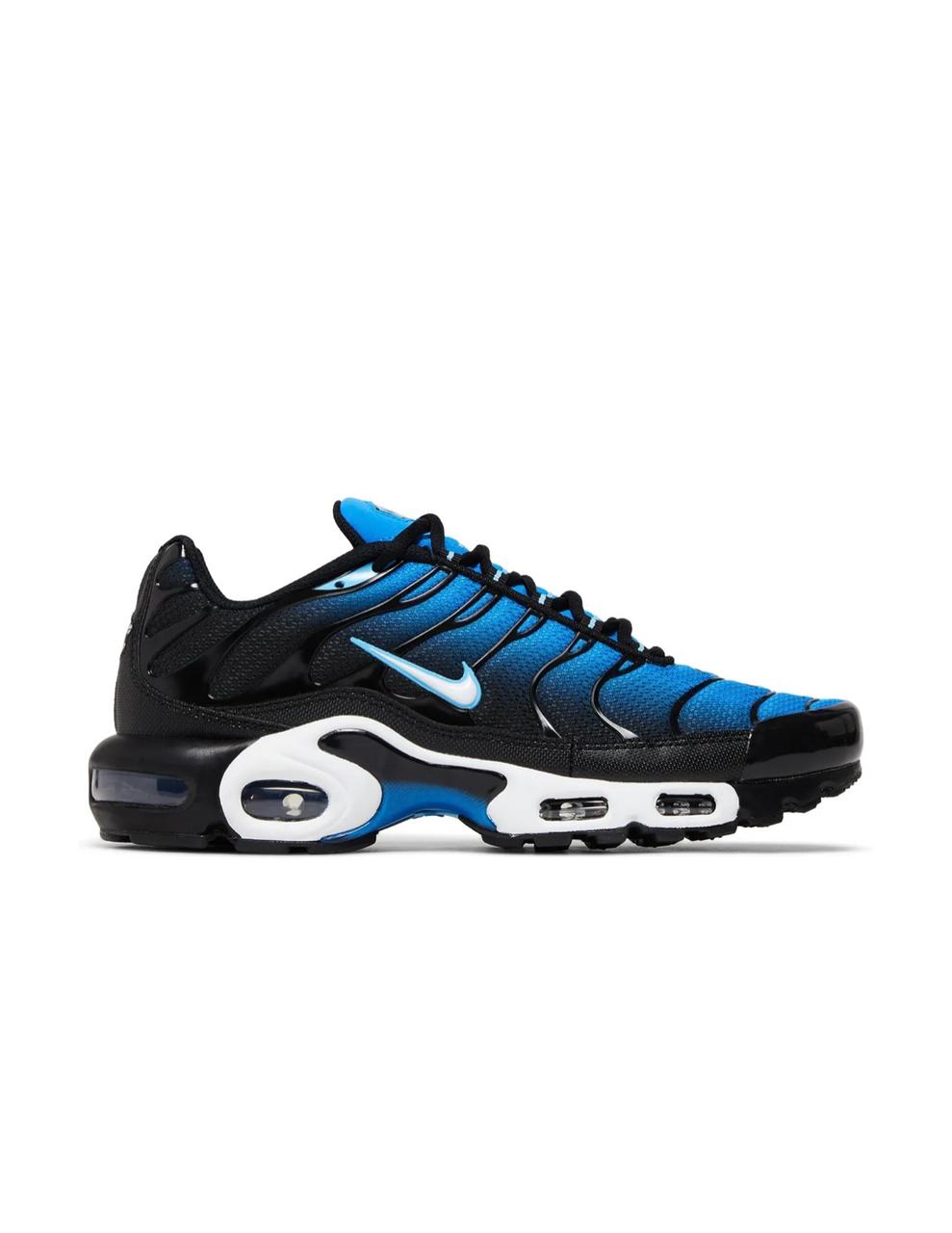 Air Max Plus Aquarius Bleu