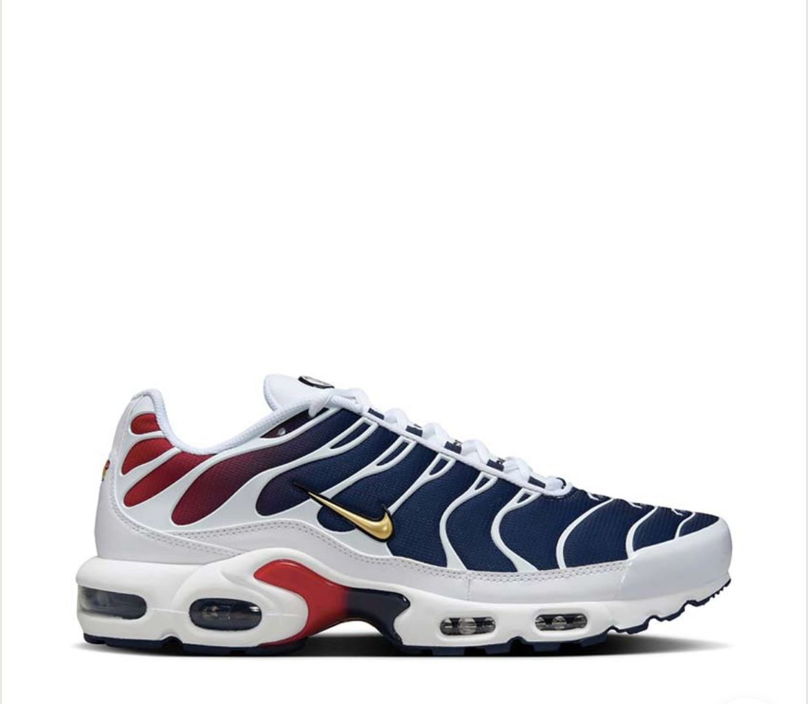 Nike AIR MAX PLUS "PSG"