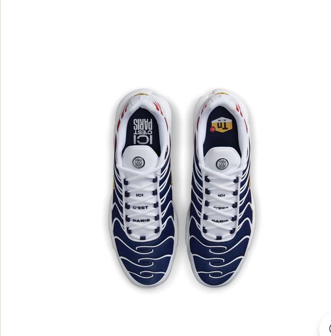 Nike AIR MAX PLUS "PSG"