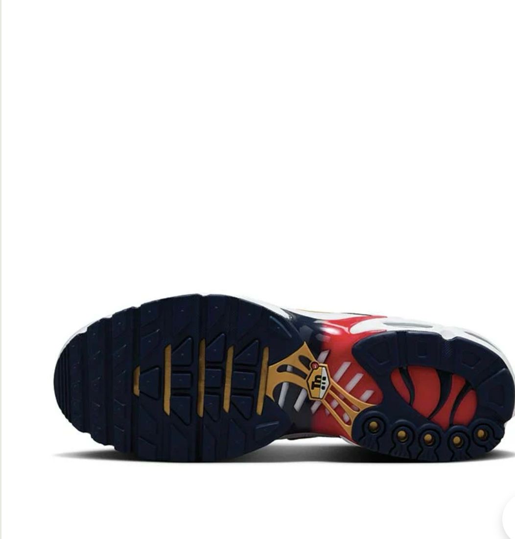 Nike AIR MAX PLUS "PSG"